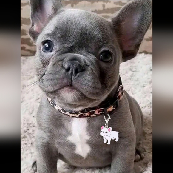 Dog Charm - Picture 2 of 4